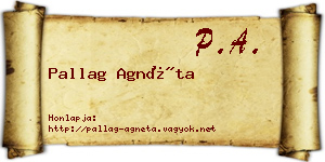 Pallag Agnéta névjegykártya